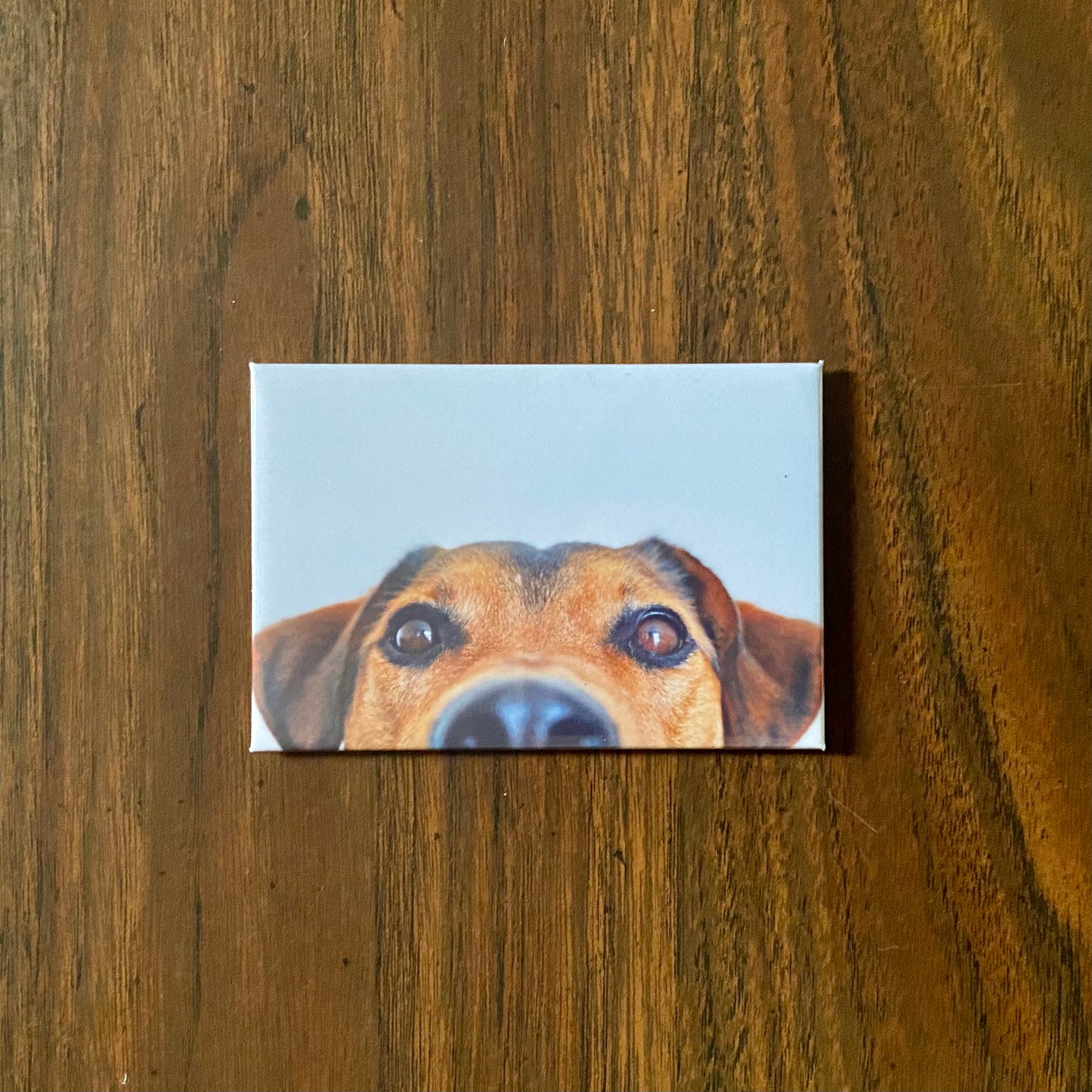 Rectangular Magnet Sample